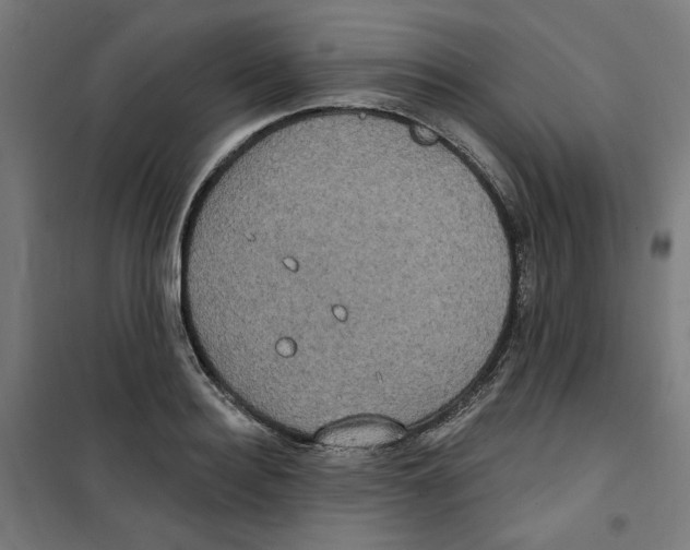 X0000100330940200807031232