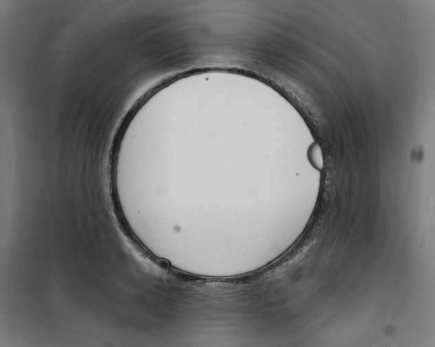 X0000100330942200807031232