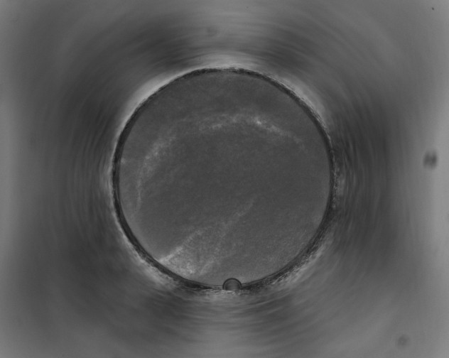 X0000100330943200807031232