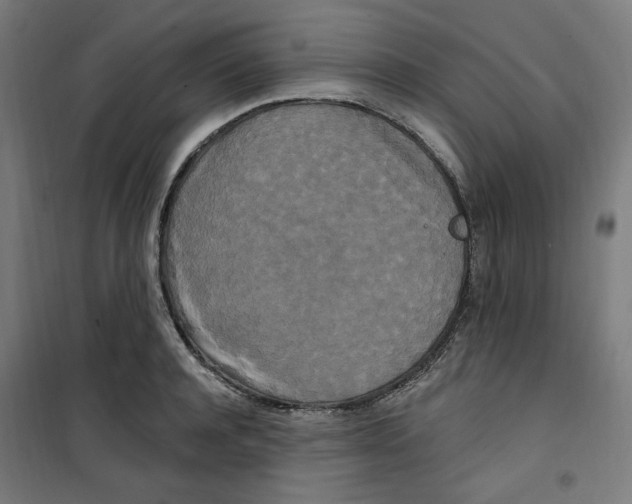 X0000100330944200807031232