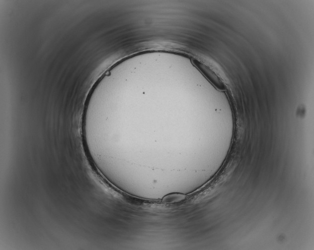 X0000100330946200807031232