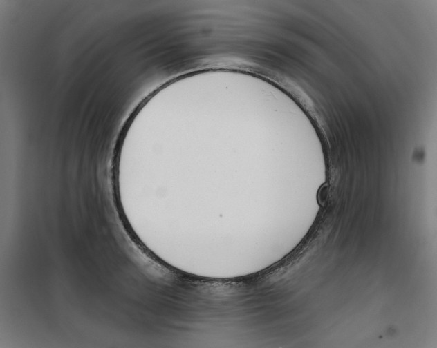 X0000100330947200807031232