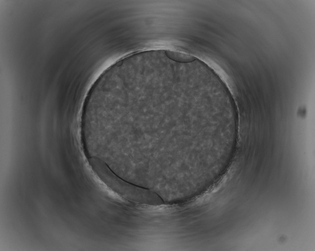 X0000100330949200807031232