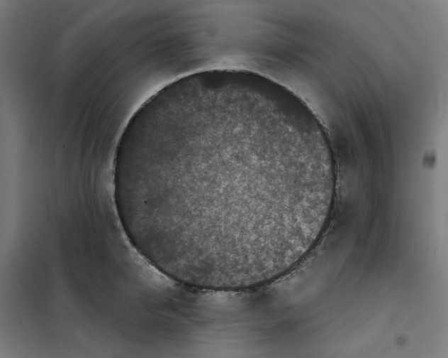 X0000100330950200807031232