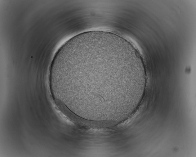 X0000100330952200807031232