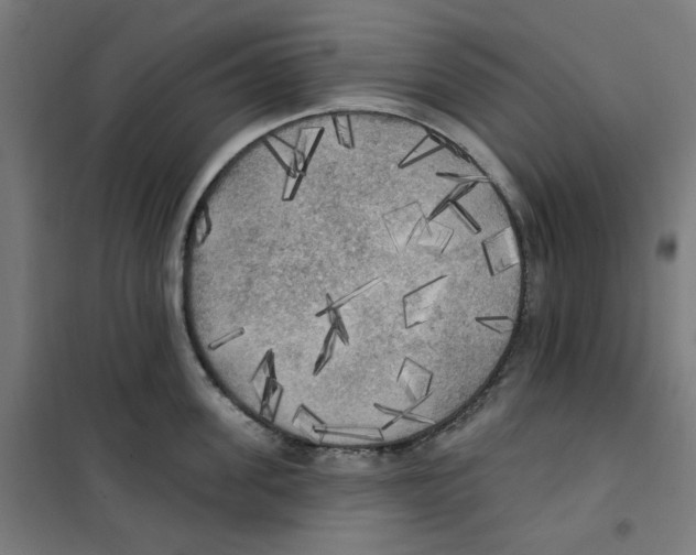 X0000100330955200807031232