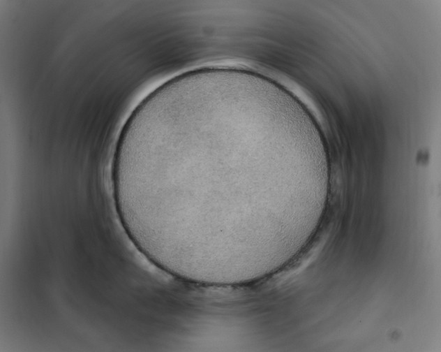 X0000100330959200807031232