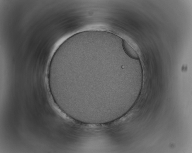 X0000100330960200807031232