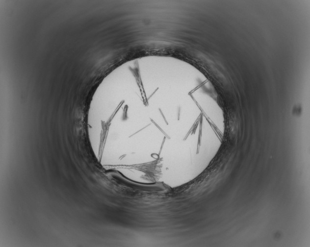 X0000100330964200807031231