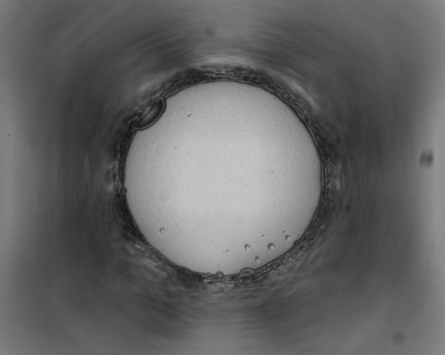 X0000100330965200807031231