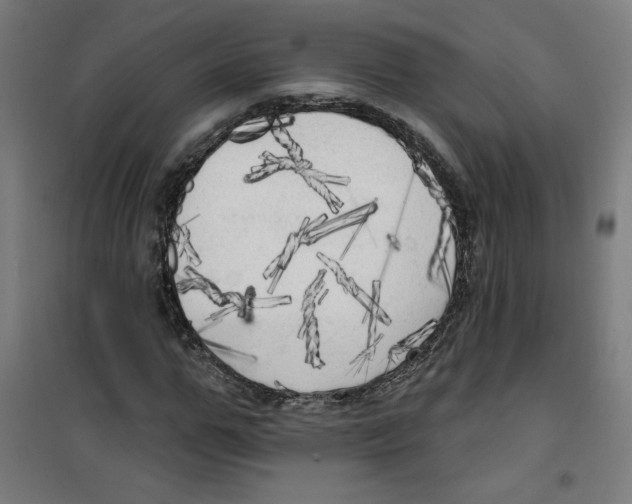 X0000100330967200807031231