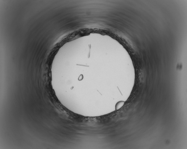 X0000100330968200807031231