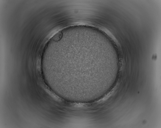 X0000100330969200807031231