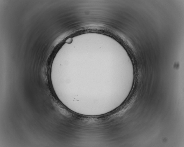 X0000100330970200807031231