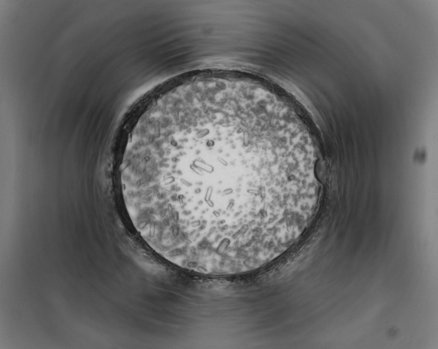 X0000100330971200807031231