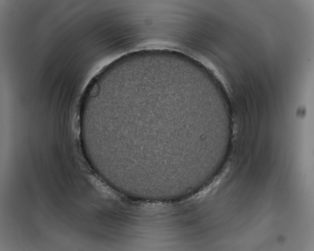 X0000100330973200807031231