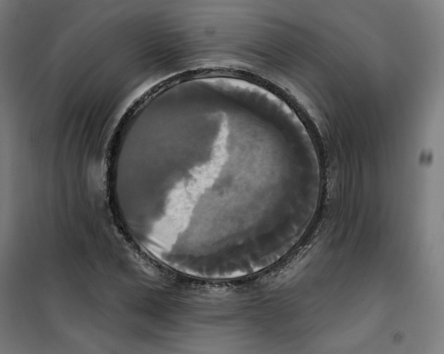 X0000100330975200807031231