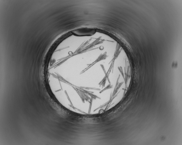 X0000100330976200807031231
