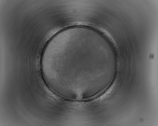 X0000100330977200807031231