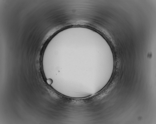 X0000100330978200807031231