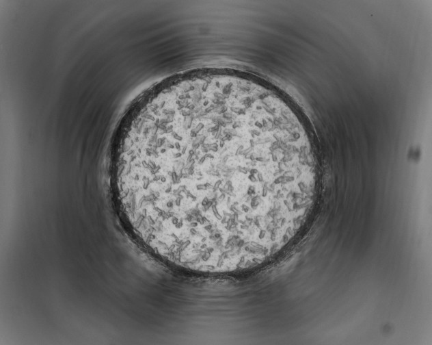 X0000100330979200807031231