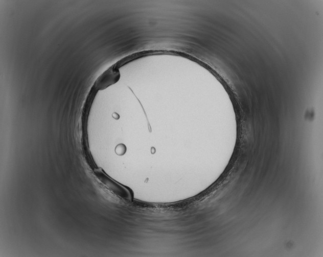 X0000100330980200807031231