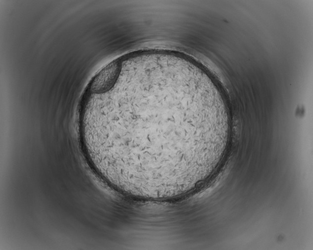 X0000100330981200807031231