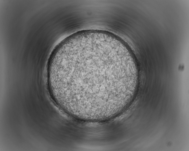 X0000100330982200807031231