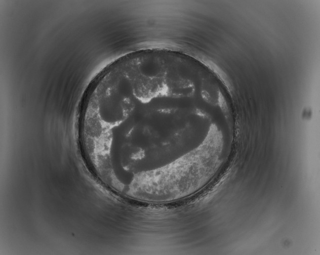 X0000100330983200807031231