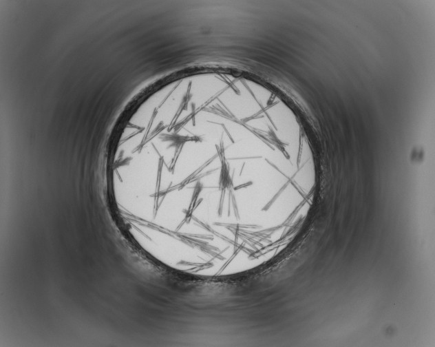 X0000100330984200807031231