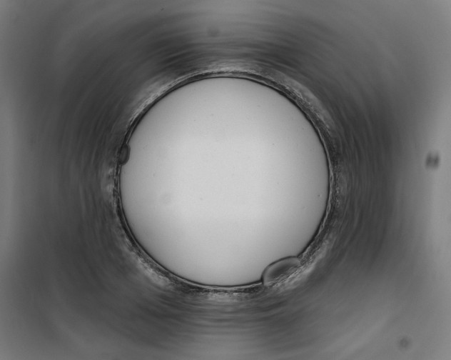 X0000100330985200807031231