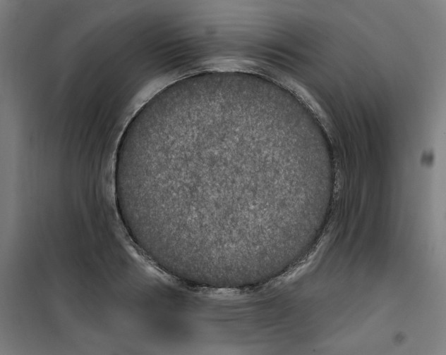 X0000100330986200807031231