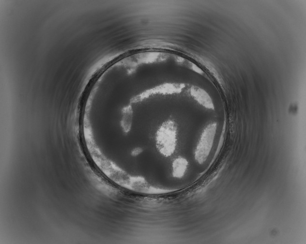 X0000100330987200807031231