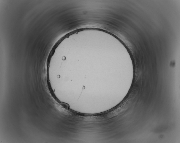 X0000100330988200807031231