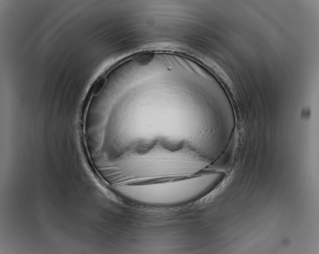 X0000100330989200807031231