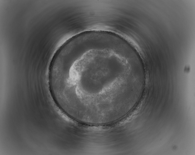 X0000100330990200807031231