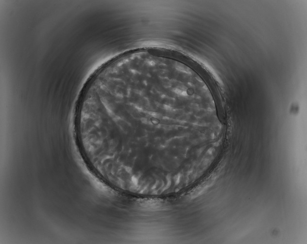 X0000100330991200807031231