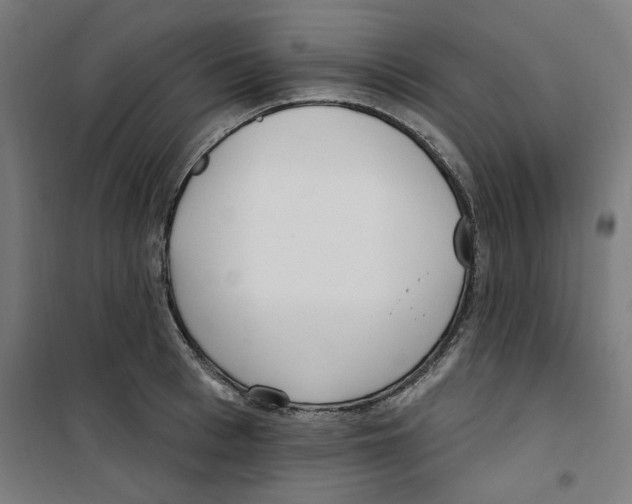 X0000100330993200807031230