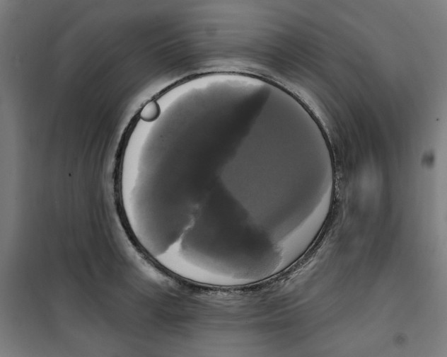 X0000100330995200807031230