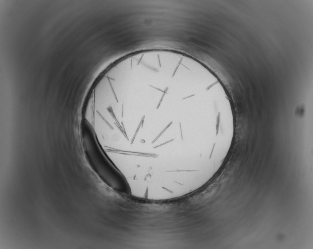 X0000100330996200807031230