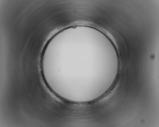 X0000100330997200807031230