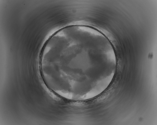 X0000100330998200807031230