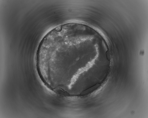 X0000100330999200807031230