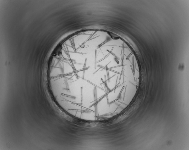 X0000100331000200807031230