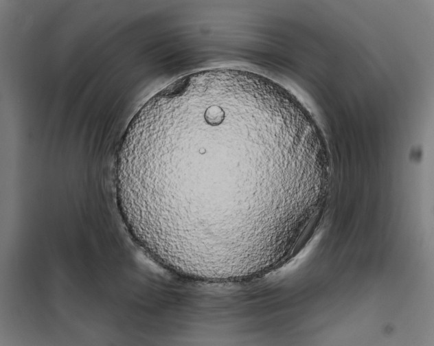 X0000100331001200807031230