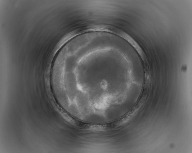 X0000100331002200807031230