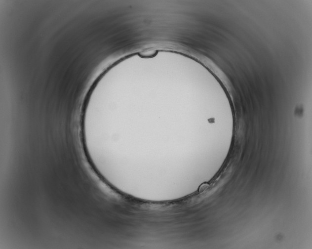 X0000100331005200807031230