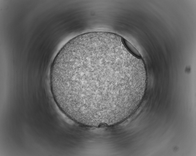 X0000100331006200807031230