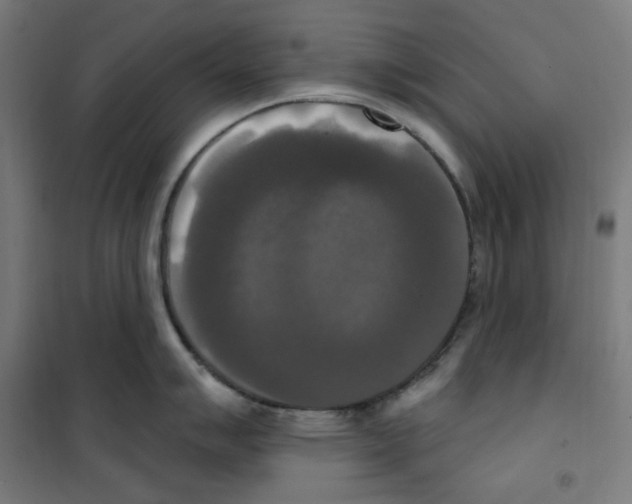 X0000100331007200807031230