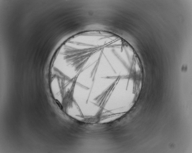 X0000100331008200807031230